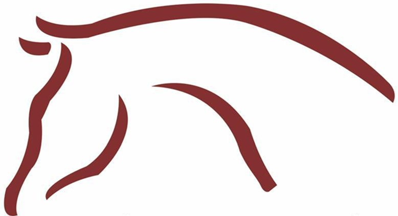 الفارس الليبي المحدودة